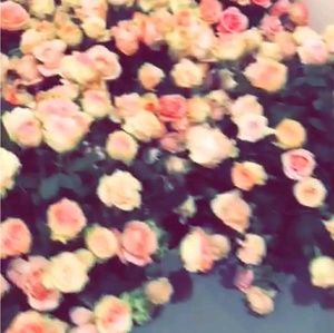 Meet your Posher, Evelyn